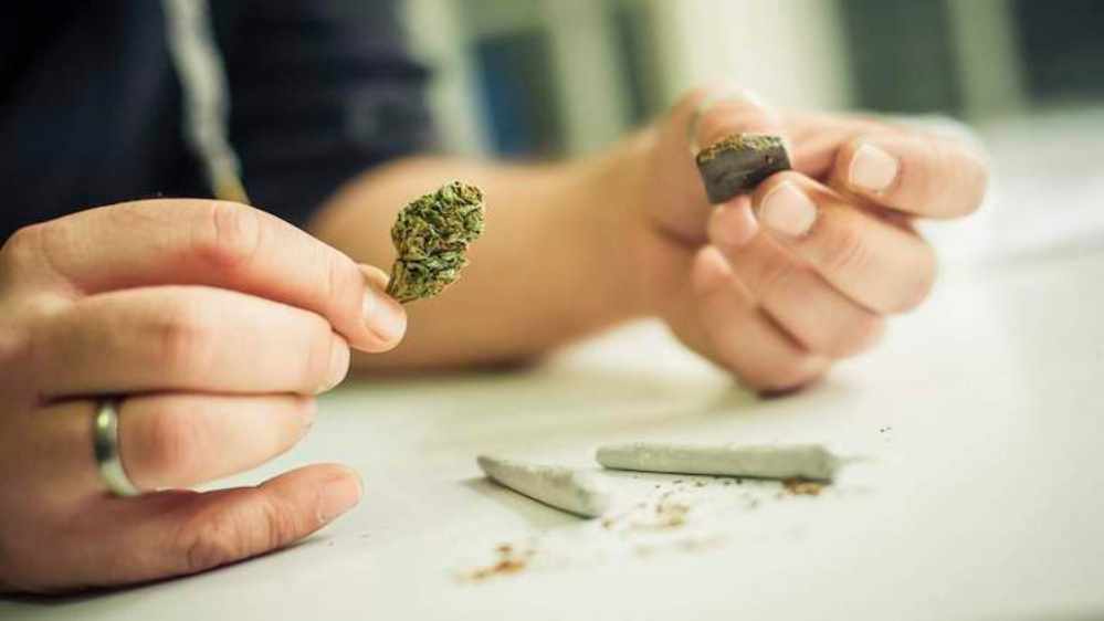 Il Cannabis Legale: Guida Completa all'Hashish CBD in Italia Blog su: Conti Mercati Depositi Credito Mutui